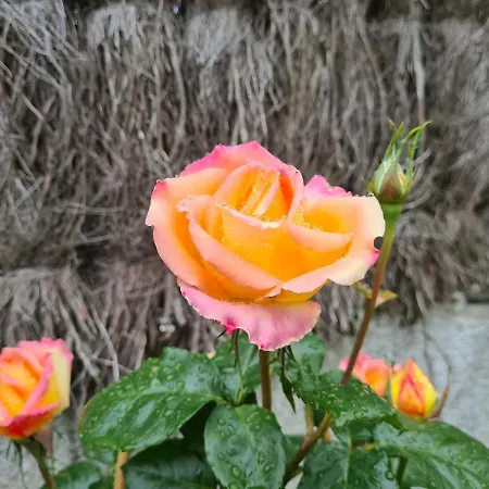 Initial By Balladins Bordeaux / Hotel Eysines