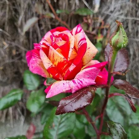 Initial By Balladins Bordeaux / 2*