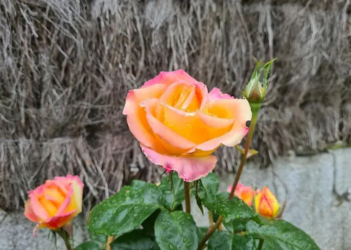 Initial By Balladins Bordeaux / Szálloda Eysines